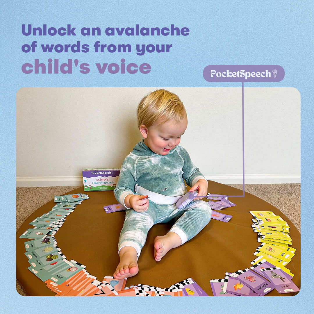 PocketSpeech: Talk & Learn Toy
