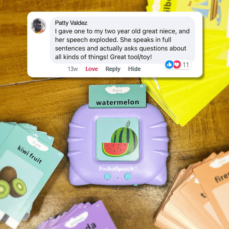 PocketSpeech: Talk & Learn Toy